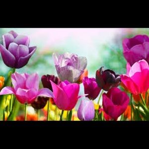 Meet your Posher, Helen